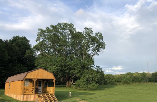 Marion Cabin | Big Tree Little Cabin