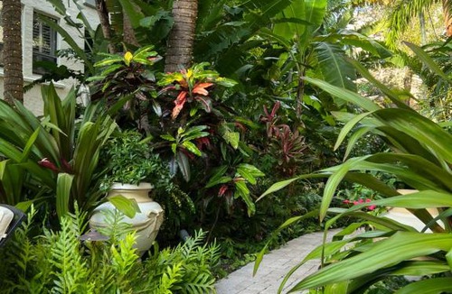 Palm Beach Apartment | BIJOU TERRACE - Palm Beach - Pool - Beach