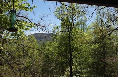 Hendersonville Cabin | Bikers paradise! Adjacent to Dupont State Park and REEB!