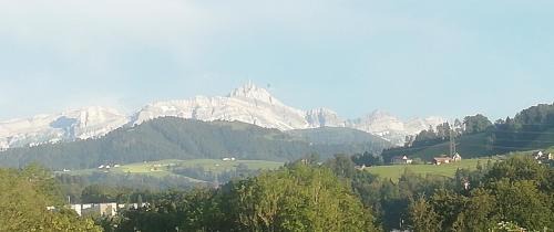 St. Gallen House | Billenberghof