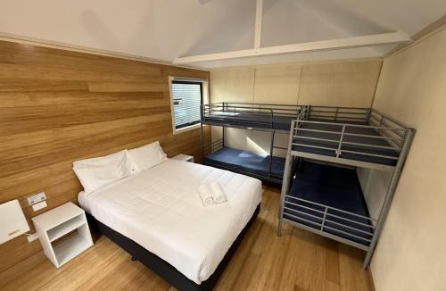 Cape Otway Resort | Bimbi Park - Camping Under Koalas