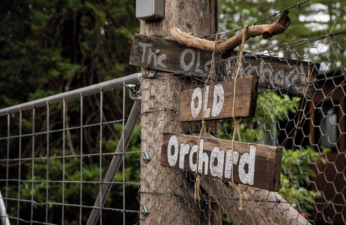 Bilpin House | Binderaga Old Orchard by Tiny Away