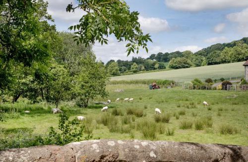 West Buckland House | Birch House Studio