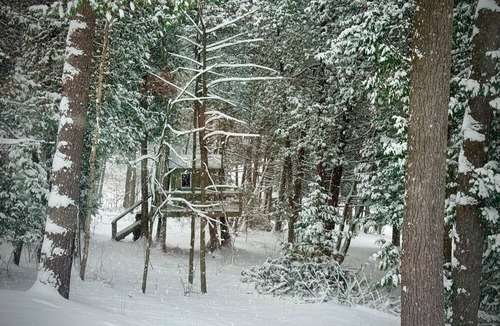 Colborne Cottage | Birch View Studio - A spacious and refined woodland retreat with sauna & hot tub