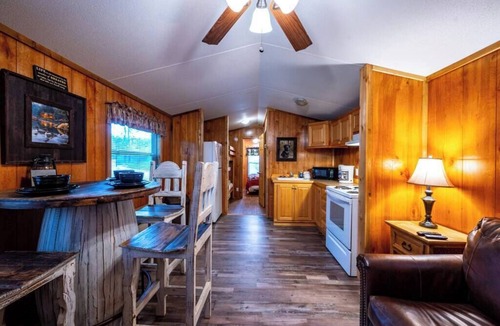 Broken Bow Cabin | BirchWood: Sleep 5 Tiny Cabin, Pet, Near Park/Lake