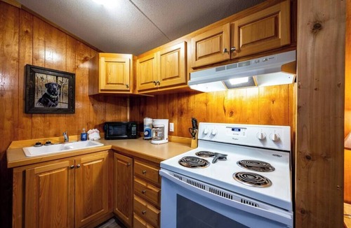 Broken Bow Cabin | BirchWood: Sleep 5 Tiny Cabin, Pet, Near Park/Lake