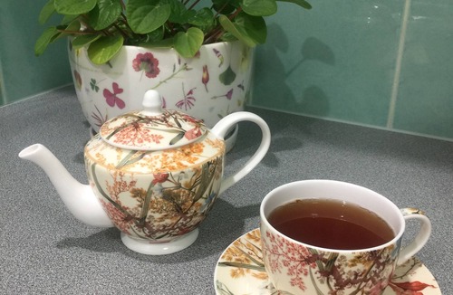 Maryborough Apartment | Bird Abode Accommodation in central Maryborough