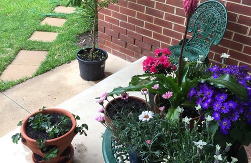 Maryborough Apartment | Bird Abode Accommodation in central Maryborough