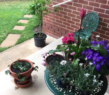 Maryborough Apartment | Bird Abode