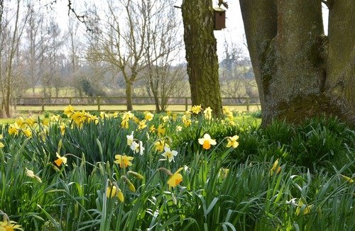 Martlesham Heath Cottage | Bird Cottage, Burgh