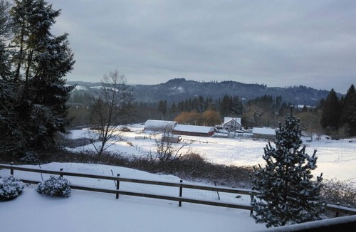 Woodland Apartment | Bird Lover’s Paradise