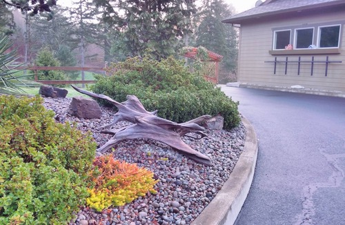 Woodland Apartment | Bird Lover’s Paradise