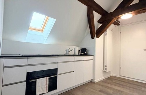 Wipkingen Apartment | Bird Suite · Gemütliche Dachwohnung in Wipkingen