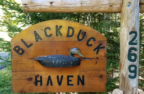 Milbridge House | Bird watchers paradise on quiet bay frontage