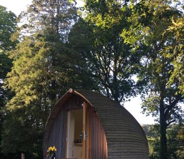 Margam Other | birdbox@glanrhyd