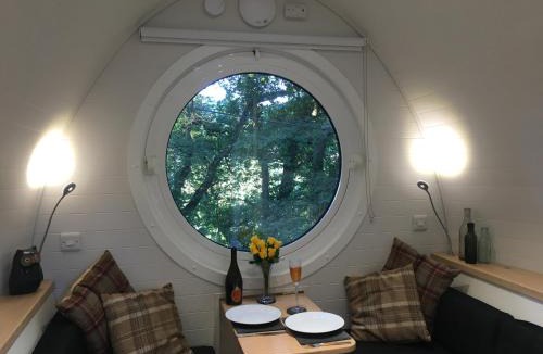 Margam Other | birdbox@glanrhyd