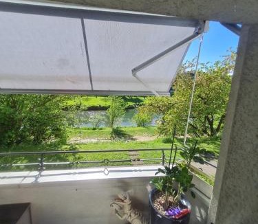Birsfelden Apartment | Birs View Room