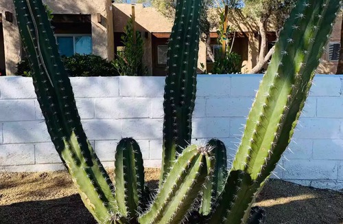 Desert Hot Springs Apartment | Bit of Paradise - Cool/Private 2Bed/2Bath