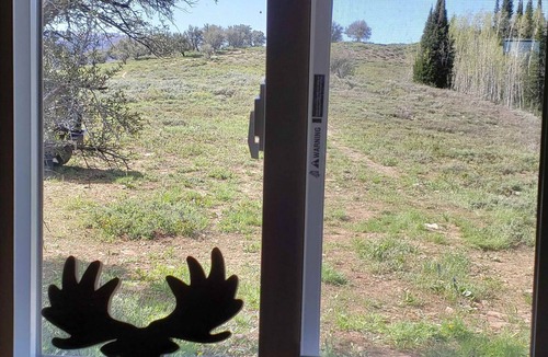 Dingle Cabin | Bitterwater Touring Amazon Cabin