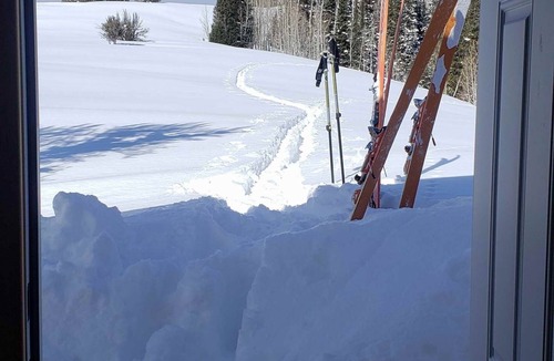 Dingle Cabin | Bitterwater Touring Amazon Cabin