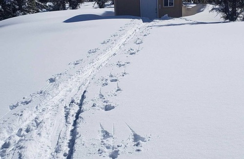 Dingle Cabin | Bitterwater Touring Amazon Cabin