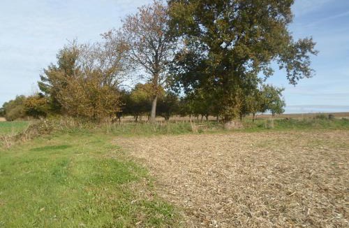 Boucey Other | Bivouac Haut comme 3 pommes