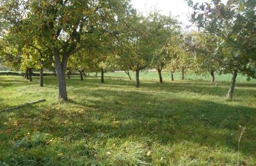 Boucey Other | Bivouac Haut comme 3 pommes