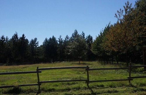 Le Champ-Saint-Pere RV Rental | Bivouac in the wilderness