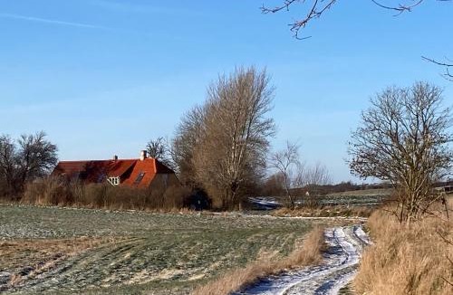Faaborg House | Bjørnø Vingård B&B - bed&bath