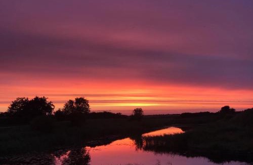 Ribe Bed & Breakfast | Bjerrumgaard bed and breakfast