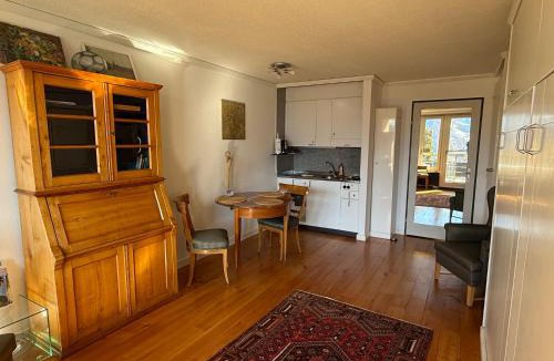 Beatenberg Apartment | Blüemlisalp 712 Studio