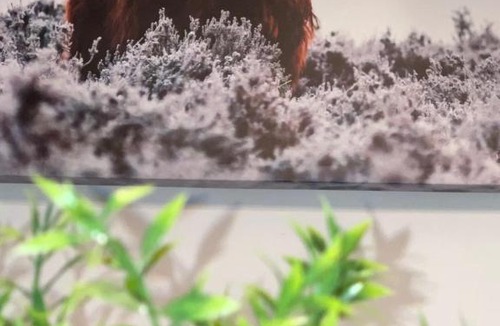 Primos Secane House | Black and White