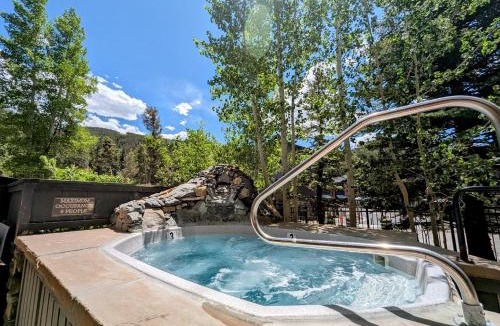 River Run House | Black Bear 8053 by SummitCove Lodging