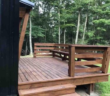 Allegheny Mountains House | Black Bear Lodge