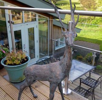 Newcastleton Bed & Breakfast | Black Burn Lodge B & B