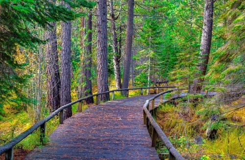 Black Butte Ranch House | Black Butte Ranch: NW Contemporary