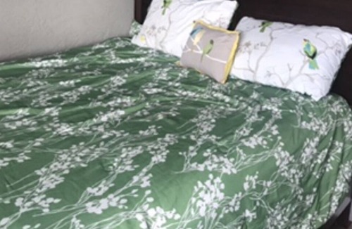 Wilbur Springs House | Black Diamond in the rough!