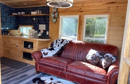 Woodridge Cabin | Black Marsh Mellow Tiny Home