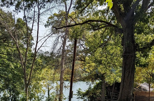 Buckingham Cabin | Black Oak Tiny Cabin on Lake in Montour