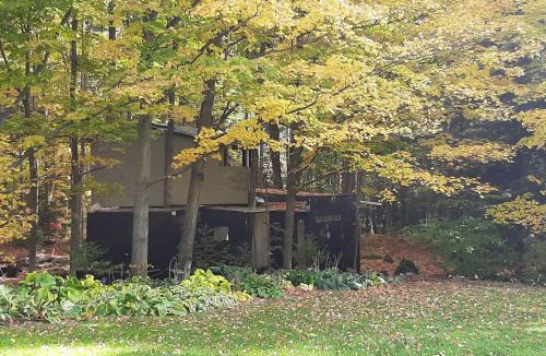 Milton House | Black Pine Tree House