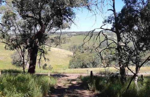 Capertee House | Black Wattle Cabin Turon Escape Capertee