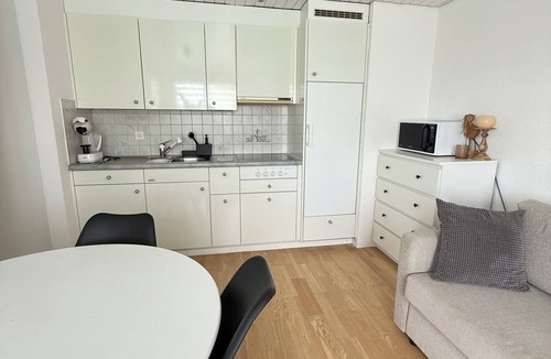 Oberuzwil Condo | Black & White Apartment