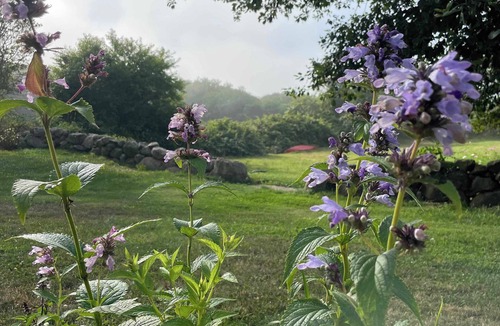 Block Island House | Blackberry Meadow