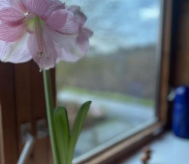 Aeroskobing Bed & Breakfast | BlackberryHouse