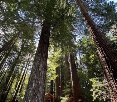 Ongaonga Villa | Blackburn Ridge Retreat