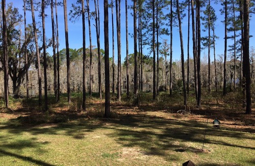 Blackshear House | Blackshear Cabin on the Pond