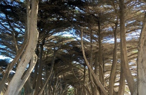 Blairgowrie House | Blairgowrie Beach Baby