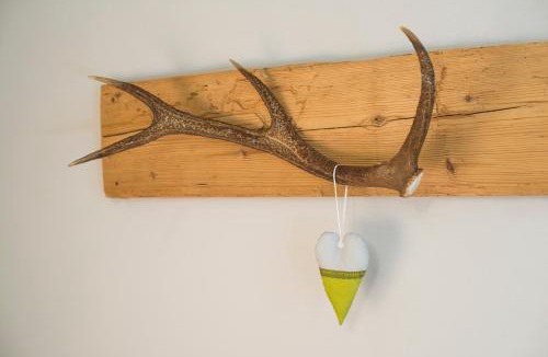 Frutigen Hotel | Blasers Hotel Restaurant Chocolat