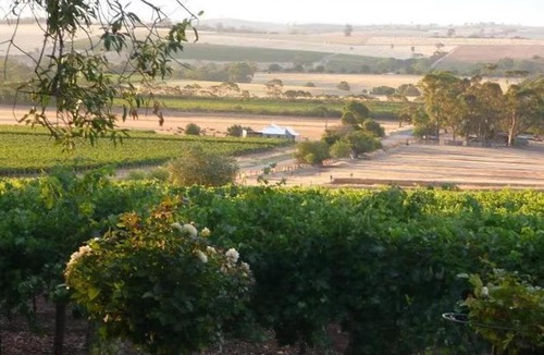 Krondorf Bed & Breakfast | Blickinstal Barossa Valley Accommodation