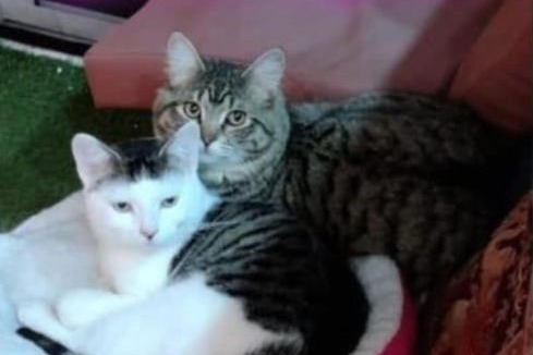 North Greenford Bed & Breakfast | Bliss Home